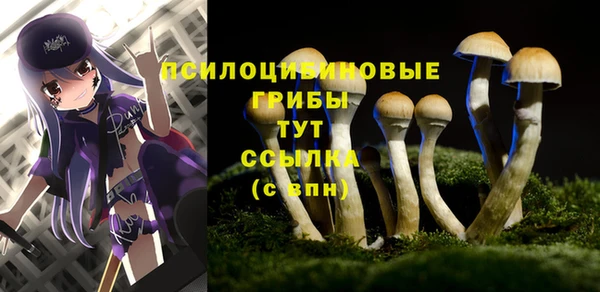 соль ск Алексин