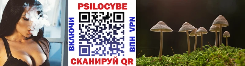 где можно купить наркотик  Харабали  Галлюциногенные грибы Magic Shrooms 